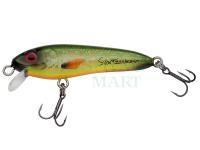 Hard Lure Abu Garcia Svartzonker McCelly 70mm 9g - Fire Carp