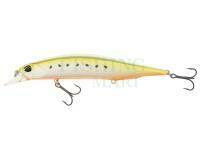 Lure DUO Realis Jerkbait 120SP - AST0333