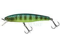 Wobler Illex Arnaud 100 F | 10cm 16g - Secret Grass Gill