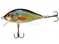 Wobler Jaxon KARAŚ 9 F UK