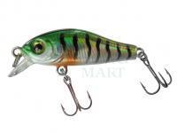 Hard Lure Jenzi T-Rex Wobbler Minnow Trout 35SR 35mm 2g - C