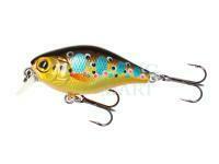 Hard lure Mikado Fishunter Bold Head 40mm 3.5g - Brown Trout