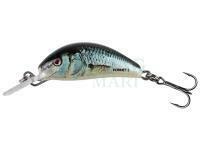 Wobler Salmo Hornet 3.5cm 2.6g Floating - Real Dace