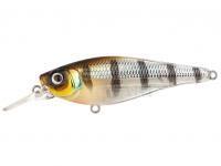 Hard Lure Spro Ikiru Shad 70SL | 7cm 10g SF - Buzzer