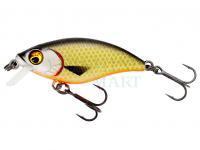 Hard Lure Westin BuzzBite SR Crankbait 4cm 4g Low Floating - Official Roach