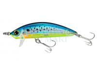 Yo-Zuri Woblery 3D Inshore Surface Minnow