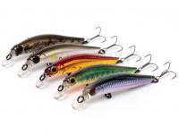 Jackson Artist FR55 Lures