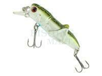 Jaxon Atract Hooper XHJ