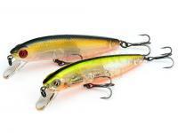 Pontoon21 Hard Lures Dexter Minnow