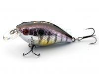 Flagman Hard Lures Flex 55F