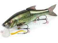 Molix Glide Bait 178 Lip