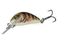Salmo Woblery Hornet 2,5 cm