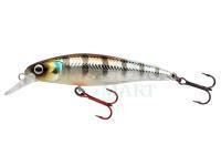 SPRO IKIRU Silent Jerk SLS 65 and 95 Lures