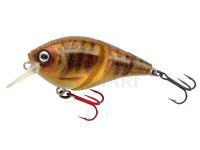 SPRO Hard Lures IKIRU Tri-Crank 65F