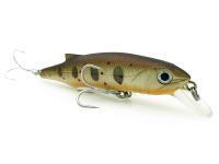 Adam's Hard Lures Jerkbait Neo 82 SS