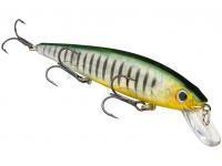 Strike King KVD 300 Jerkbait