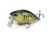 DUO Woblery Realis Crank Kabuki 50 SSR