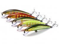 Jackson Trout Tune