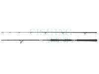 Wędka Abu Garcia Beast Pike Spinning 2.54m 30-110g