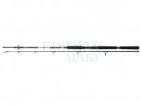 Rod Daiwa BG Offshore Pilk 2.70m 40-125g