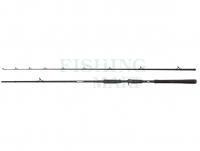 Rod Abu Garcia Beast Pike Casting 2.44m 30-100g