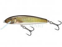 Hard Lure Salmo Minnow Floating 7 | 7cm 6g | 2 3/4" 3/16oz - Grayling