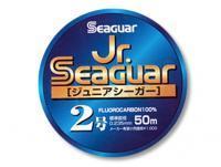 Żyłka Fluorocarbonowa Jr. Seaguar Fluorocarbon 50m 0.205mm #1.5