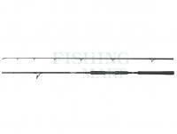 Rod Abu Garcia Beast Pike Spinning 2.44m 40-90g