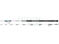 Sea fishing rod Dragon Boat Master Jig 40-200g 2,40m