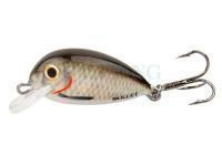 Lure Hunter Bullet 2.5cm S - CR