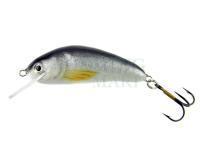 Lure Microbait Bumblebee 33mm - Roach