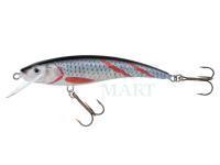 Lure Jaxon HS Nidor 11cm F - KSN