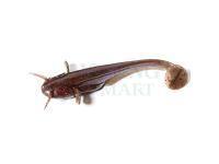 Soft baits Fishup Catfish 50mm - 050 Green Pumpkin Brown/Red & Purple