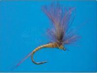 CDC Emerger Olive nr 18