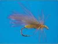 CDC Tan Caddis no.12