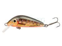 Lure Hunter Champion 3.1cm S - RTR