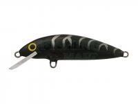 Lure Dorado Classic C-4 Sinking BGH