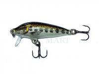 Lure Rapala CountDown 5cm - Muddler