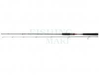 Wędka Daiwa Ballistic X Spin 2.10m 10-40g