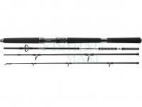 Rod Daiwa BG Offshore Travel 2.25m 150-500g