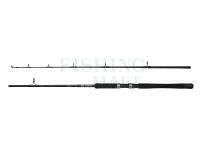 Wędka DAM Iconic2 SW Boat Spinning Rod 1.80m 100-250g