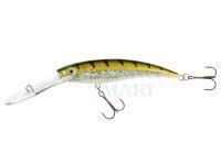 Lure Jaxon Diver 12cm DR - OB