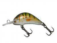 Lure Kenart Diver 4cm NP