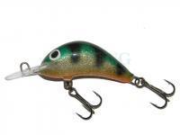 Lure Kenart Diver 4cm P