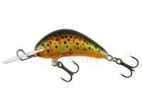 Lure Kenart Diver 4cm T