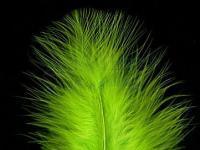 Pióra marabuta Hareline Extra Select Marabou #54 Chartreuse