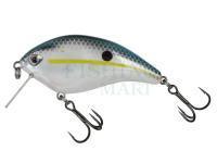 Lure Molix F Crank SR 6cm Flat Crank - 71 Charming Shad