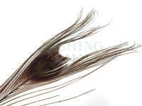 FMFly Peacock Eyes - Brown