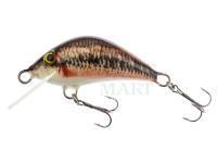 Lure Bielik Garbusek 4cm - X10