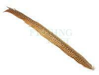 Golden Pheasant Tail Piece - Long